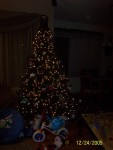 Our tree after Santa's arrival.