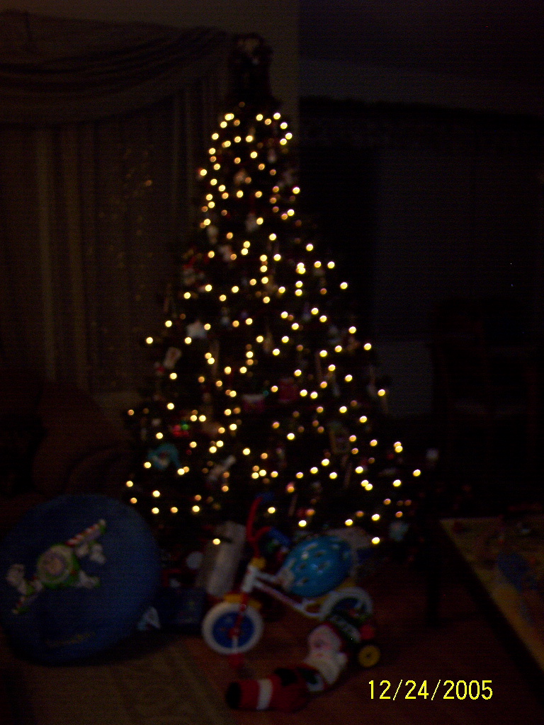 Slightly out of focus tree, nice effect!